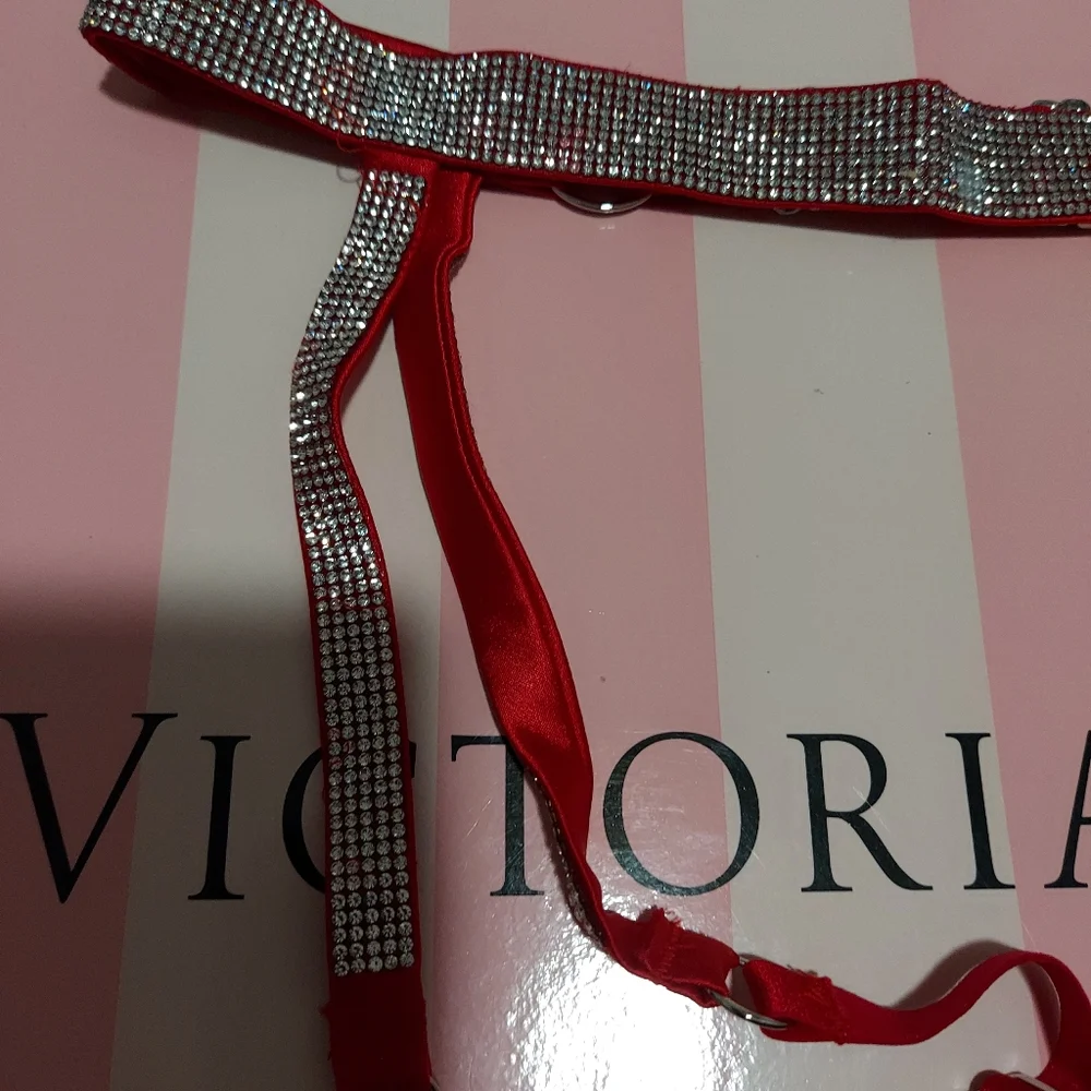 Victoria secret Shine Garter size XS/S NWT - Picture 6 of 8